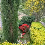 Hera Korcula, Special One, Pool, Right On The Sea,parking, 8 People Villa Čara