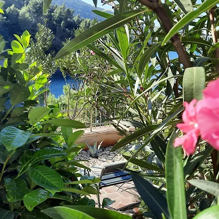 Hera Korcula, Special One, Pool, Right On The Sea,parking, 8 People