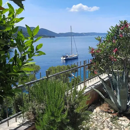 Hera Korcula, Special One, Pool, Right On The Sea,parking, 8 People