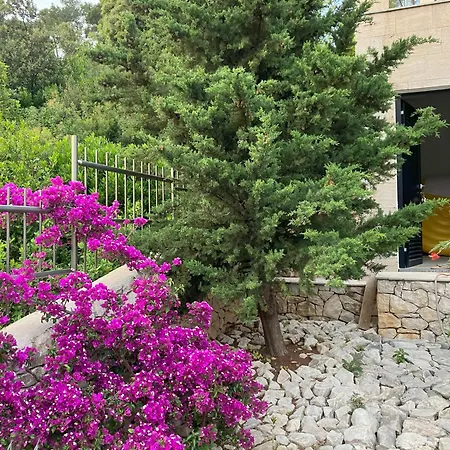 Hera Korcula, Special One, Pool, Right On The Sea,parking, 8 People Čara