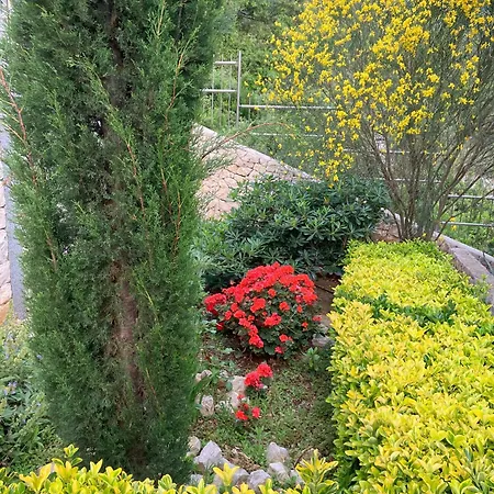 Hera Korcula, Special One, Pool, Right On The Sea,parking, 8 People Willa Čara