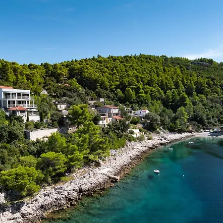 Villa Hera Korcula, Special One, Pool, Right On The Sea,parking, 8 People Čara